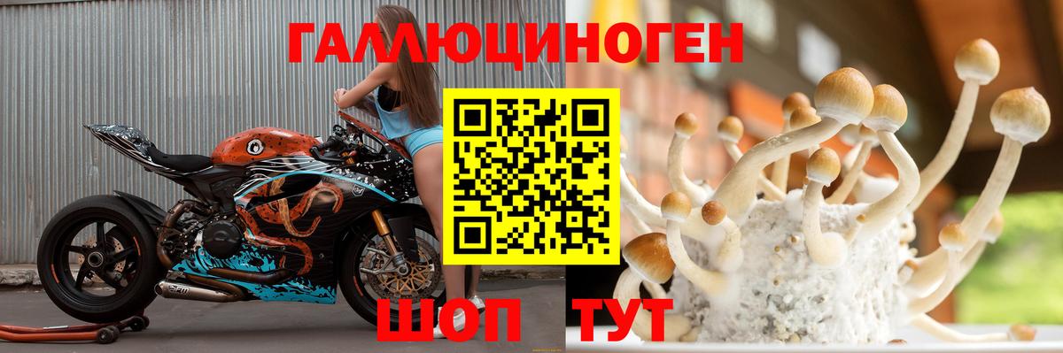 Бугуруслан  Галлюциногенные грибы ЛСД  Галлюциногенные грибы Psilocybe  Вход с VPN 